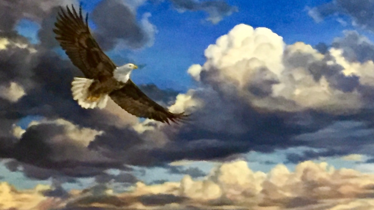 An Eagle Soars Away, Art provided by Heiner Hartling https://heinerhertlingart.com